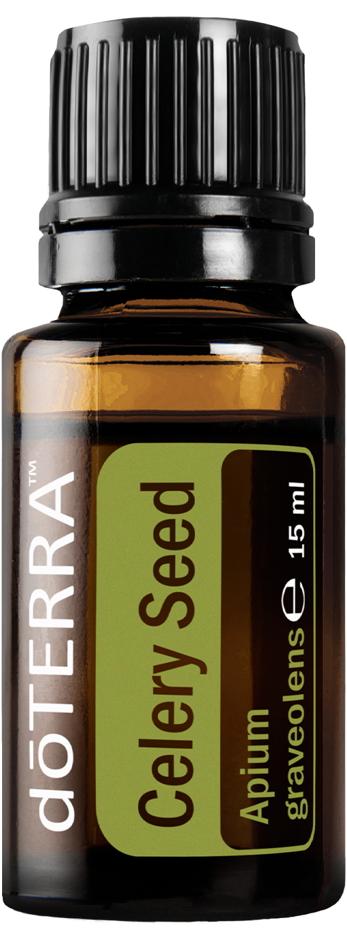 doTERRA Celery Seed Essential Oil Apium Graveolens 15 ml - Anahata Green LTD.