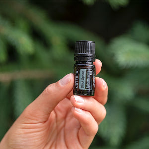 doTERRA Black Spruce Essential Oil 5ml - Anahata Green LTD.